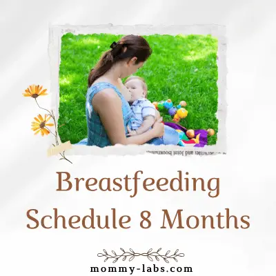 Breastfeeding Schedule 8 Months