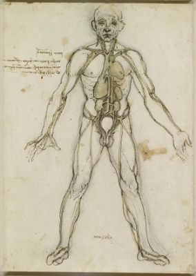 Da Vinci's Inventive Sketchbook