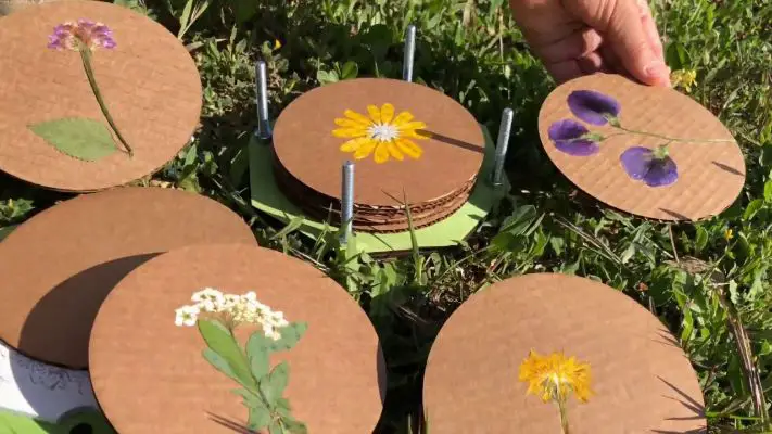 Different Ways Of Pressing Flowers