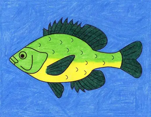 Draw A Fish On Your Canvas