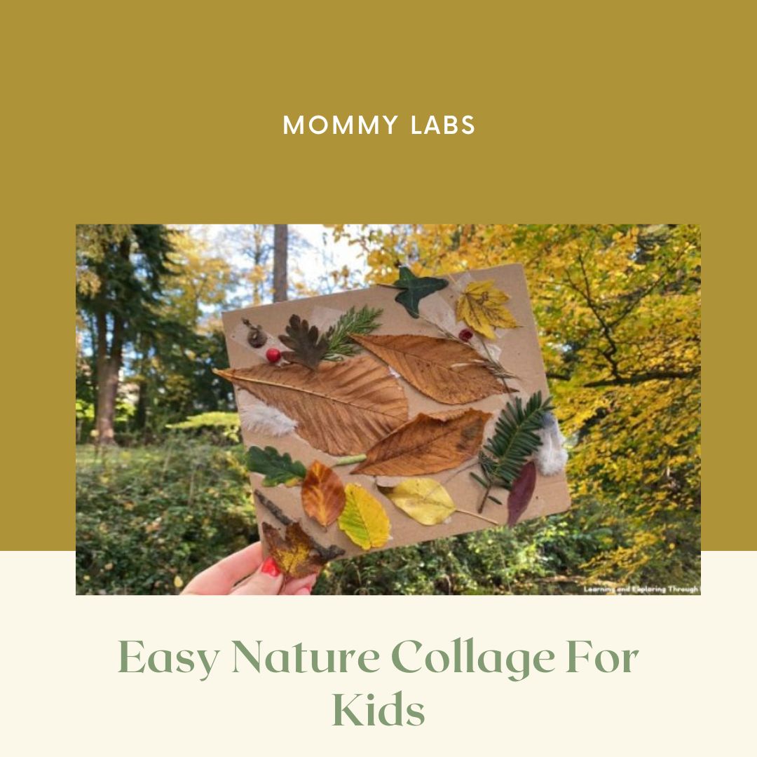 Easy Nature Collage For Kids