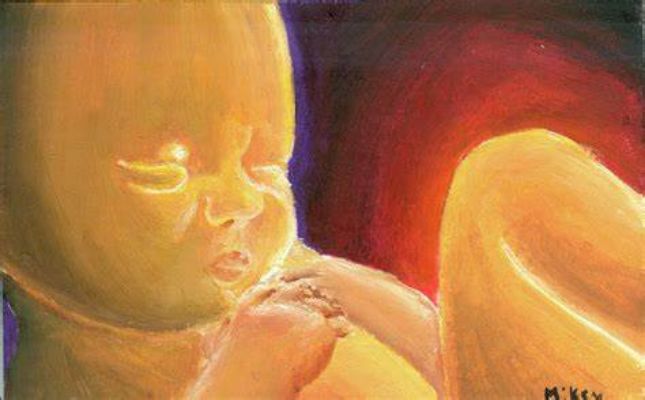  Fetus In Womb Painting And Art Ideas 
