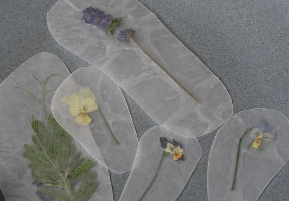 How To Press Flowers On Wax Paper