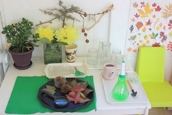 Nature Tables as Instructional Materials Ideas for Teachers