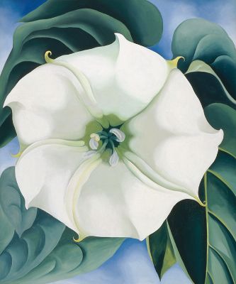 O'Keeffe's Magnificent Flowers