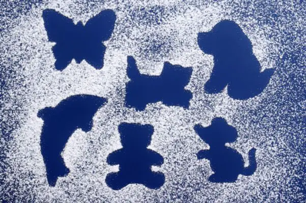 Participants can choose and fill an animal silhouette