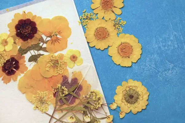 Pressed Flower Art DIY Ideas