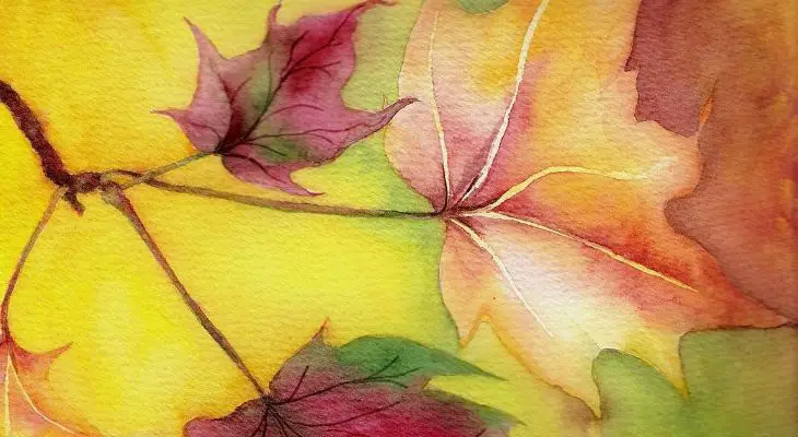 Watercolor Leaf Study