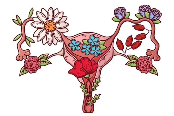 downward from the uterus's bottom to create the vaginal canal