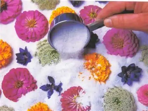 flowers or plants between silica gel balls