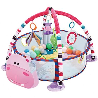 Baby Gym or Play Mat