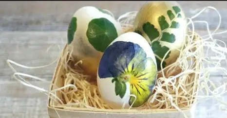 Botanical Print Eggs