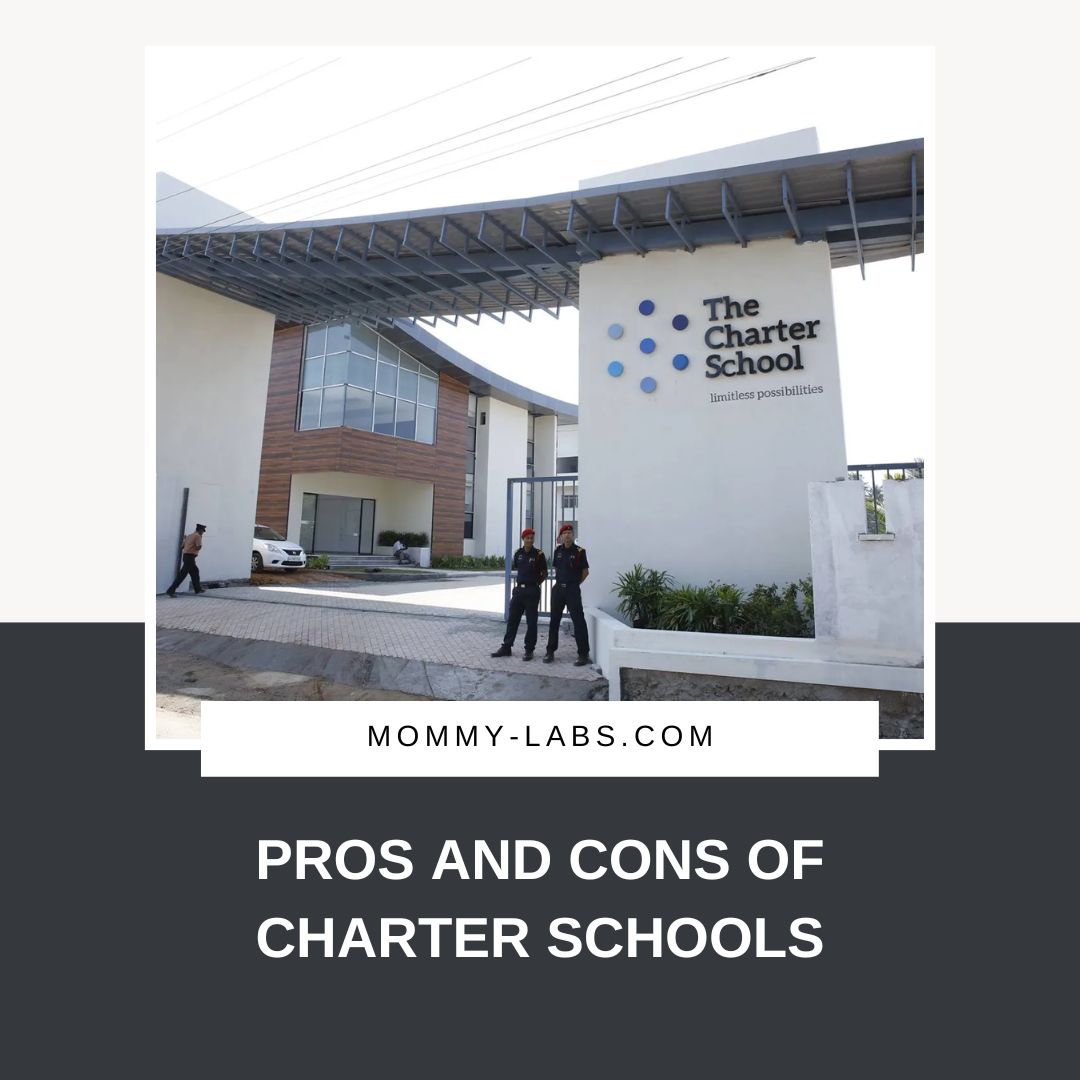 Pros And Cons Of Charter Schools