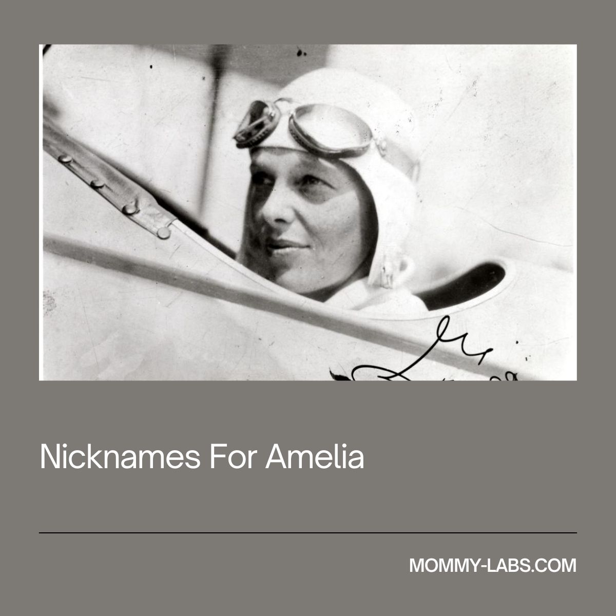 Nicknames For Amelia