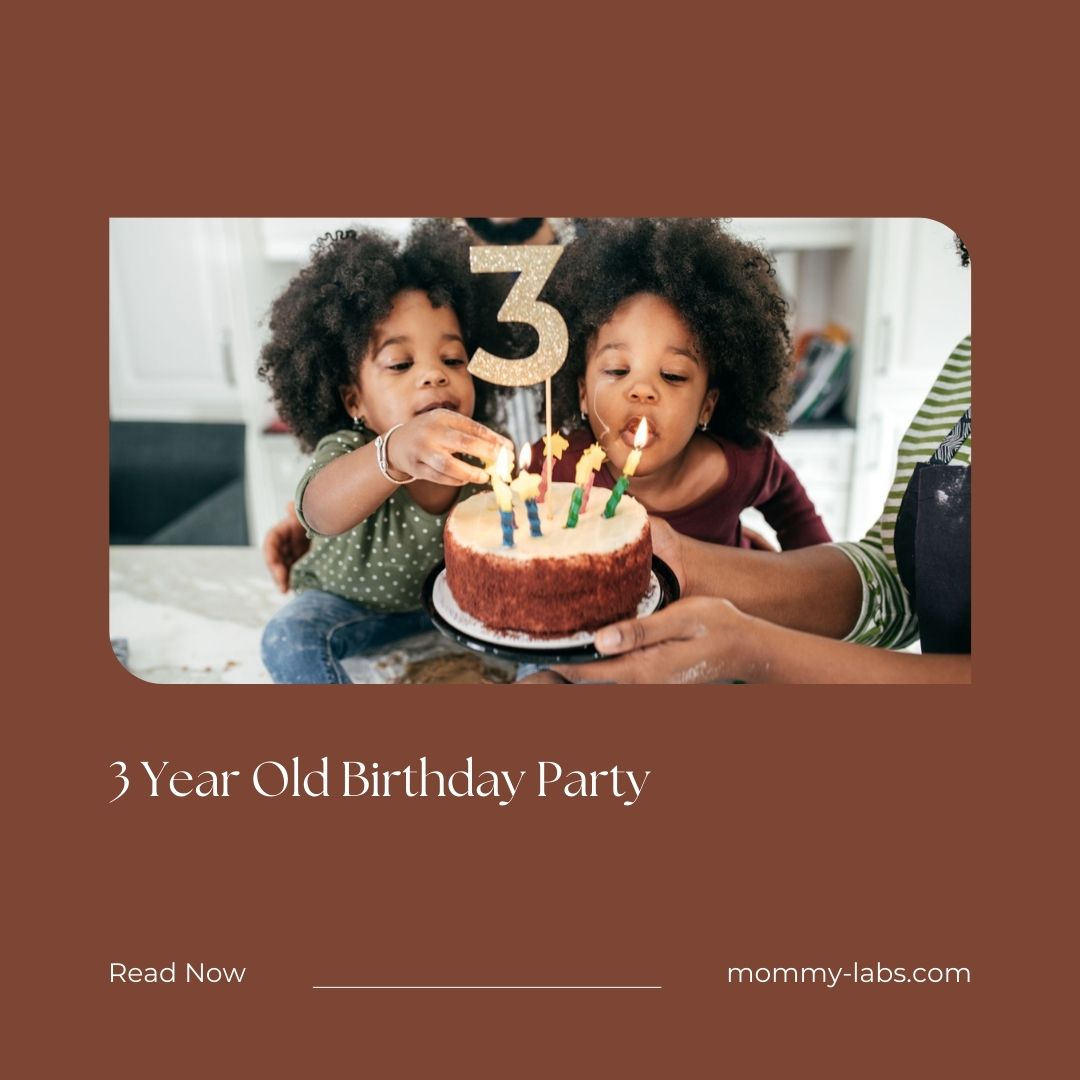3 Year Old Birthday Party
