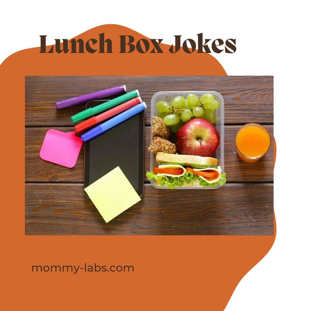 Lunch Box Jokes