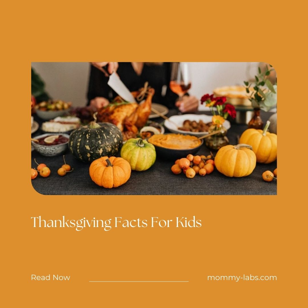 Thanksgiving Facts For Kids