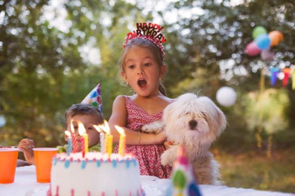 Unique Birthday Party Ideas For 2 Year Old
